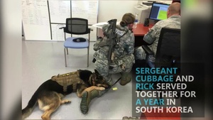 Former Explosive Detection Dog Reunited with Special Forces Handler