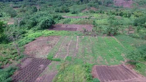 Aerial Imagery of Guadalcanal