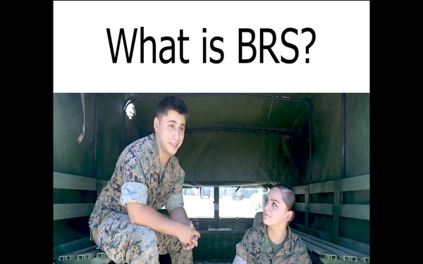 What Is BRS?