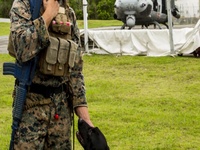 Aviation Academics – Letter “D” – “Dog”