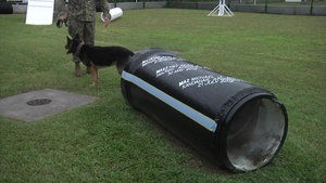 Diego Garcia's K9 Handler Mural