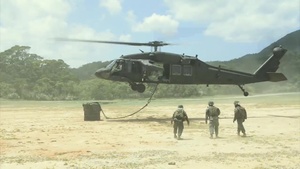 USAABJ and 1-1 SFG Collective Aviation Operations Exercise