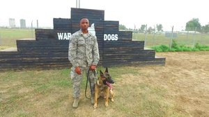 MWD Handler