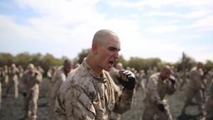 We Make Marines- Martial Arts