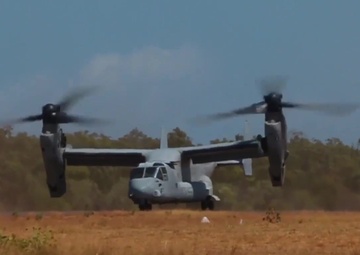 Crocodile Strike 2017