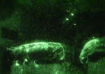 C-130 Airdrop in Night Vision