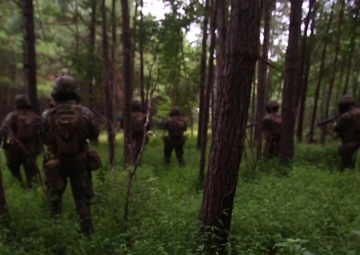Echo Co. Marines conduct Defensive Operations training
