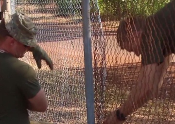 Exercise Crocodile Strike
