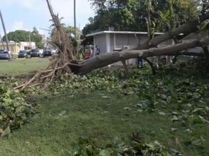 Coast Guard Sector San Juan crews start cleanup operations