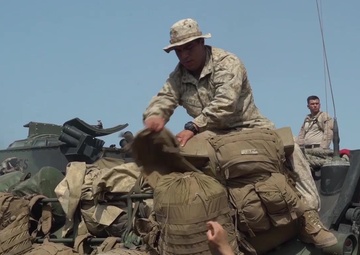 Alligator Dagger: B-roll Footage I