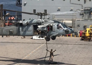 Alligator Dagger: Vessel, Board, Search, and Seizure rehearsal