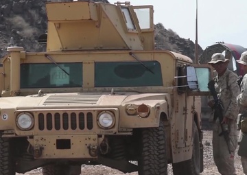 Alligator Dagger: B-roll Footage II