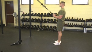 TRX Curtsy Lunge