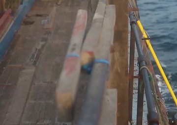 Alligator Dagger: B-roll footage III