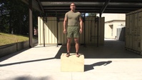 Box Depth Jump