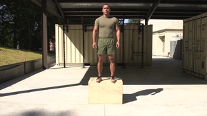 Box Depth Jump