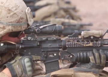 Alligator Dagger: B-roll footage V