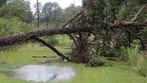 Hurricane Irma Impacts MCAS Beaufort