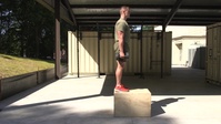 Dumbbell Single Leg Step Down