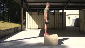Dumbbell Single Leg Step Down