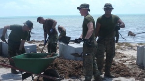 BLT 2/6, 26th MEU Marines clear debris from Key West Streets