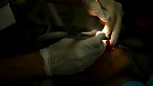 Pacific Angel 17-2 Dental Clinic