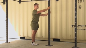Sagittal Leg Swing