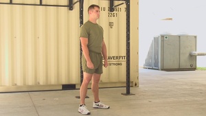 Stationary Squat
