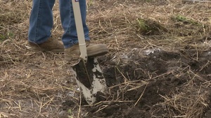 Iwakuni Service Members Get their Hands Dirty While Volunteering (B-Roll)