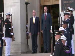 Mattis Meets With Romanian Defense Minister
