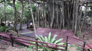 OkiAdventure - Dai Sakirinzan Park DVIDS