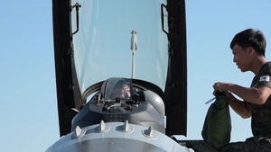 Buddy Wing 17-6