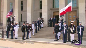 Mattis Meets With Polish Defense Minister
