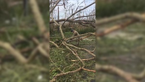 1st MSC Soldiers clear debris