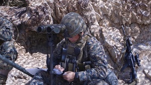 Digitally Aided Close Air Support