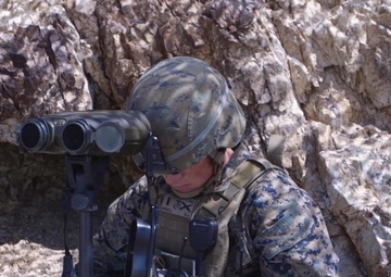 Digitally Aided Close Air Support