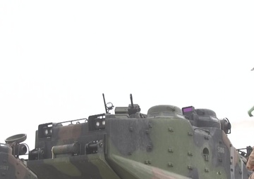 Assault Amphibian School Training