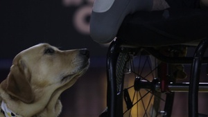 Invictus Games 2017