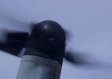 Bougainville II Retrograde