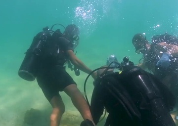 Prime Cut: CARAT Sri Lanka 2017 - UCT 2