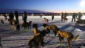 Alaska Guardsmen conduct arctic training, community outreach during dogsled race