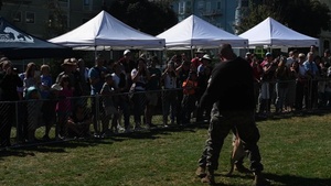 K9 Heroes Bark in the Park During Fleet Week San Francisco