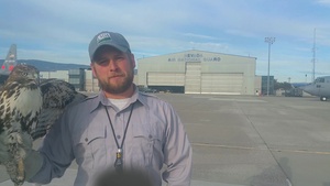 Wildlife Biologist Keeps Nevada Air Guard and Civilian Aircraft Safe from Raptors