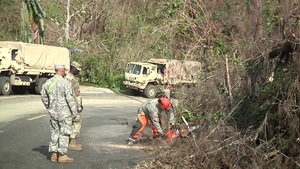 Helping hand from South Carolina