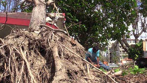 Hurricane Maria: Red Cross and Citizens in Rincon