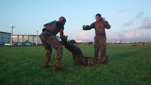 B-Roll Martial Arts Instructor Course: From Student to Instructor