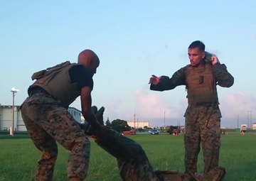 B-Roll Martial Arts Instructor Course: From Student to Instructor