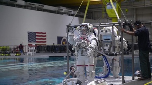 Retired Col Mark Vande Hei to Launch Satellite from ISS