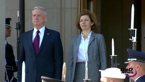 Mattis Welcomes French Counterpart to Pentagon