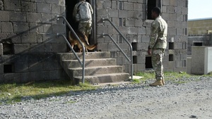615th MP Co. Urban Operations training